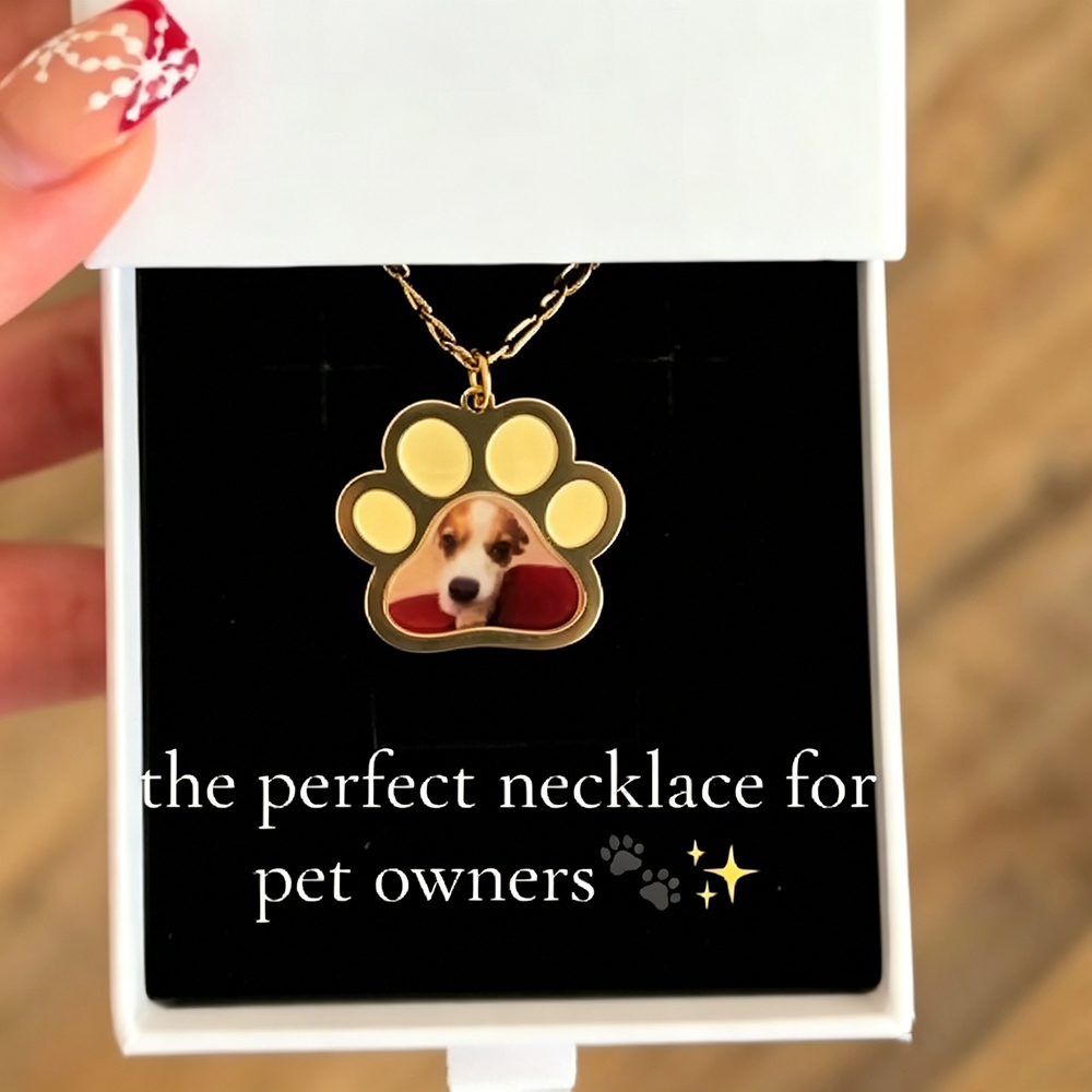 Personalized Pet Paw Colors Pr - огляд і ціна Custom Name Necklace Stainless Steel